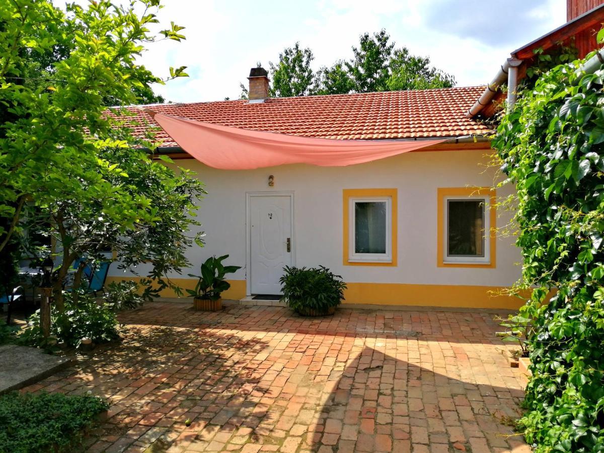 Brindza Vendeghaz Szeged