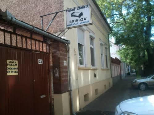 Brindza Vendeghaz *